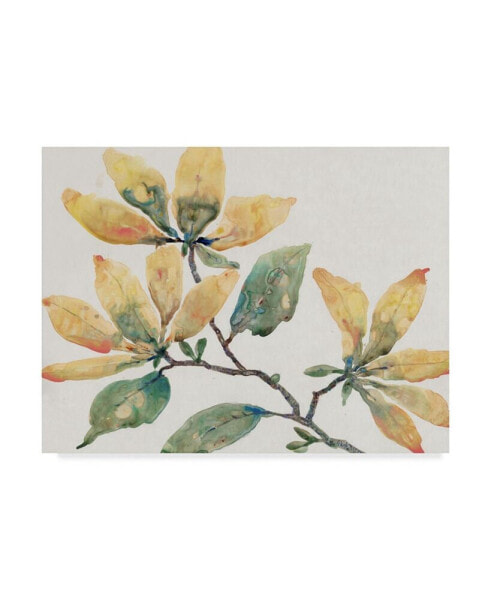 Tim Otoole Flowering Branch II Canvas Art - 20" x 25"