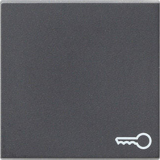 GIRA 028728 - Anthracite