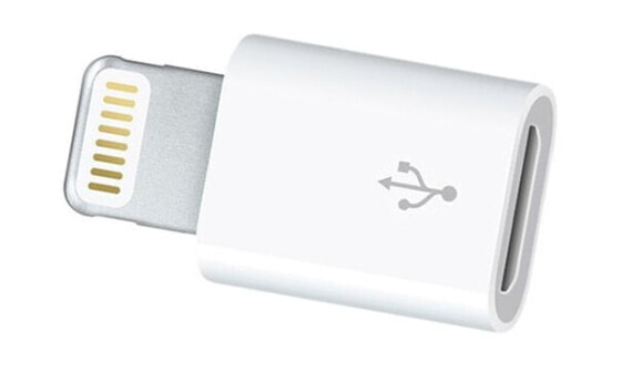 3GO Micro-Usb H To Lightning Adapter