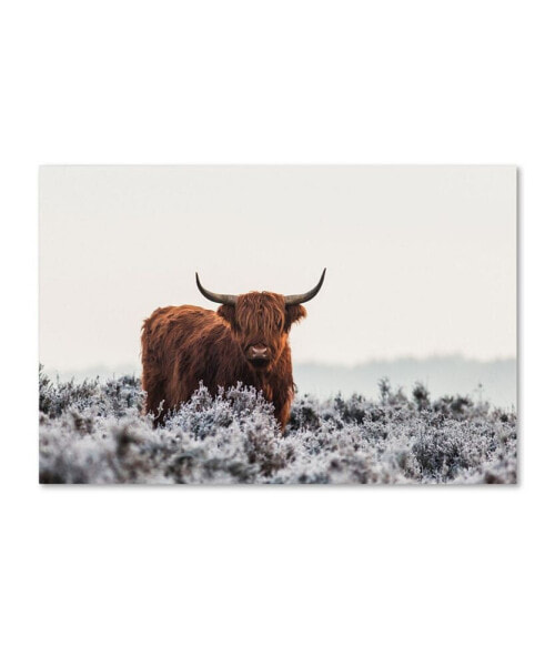 Jaap van den 'Highlander' Canvas Art - 47" x 30" x 2"