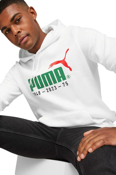 No. 1 Logo Celebration Erkek Sweatshirt 67602102