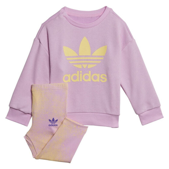 ADIDAS ORIGINALS Graphic Logo Crew Track Suit