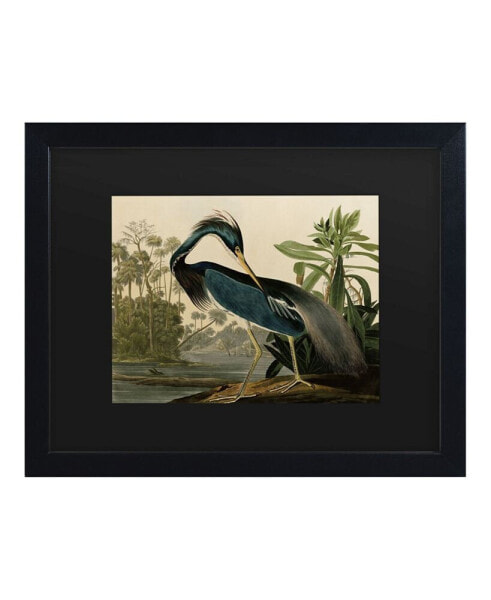 John James Audubon Louisiana Heron Matted Framed Art - 15" x 20"