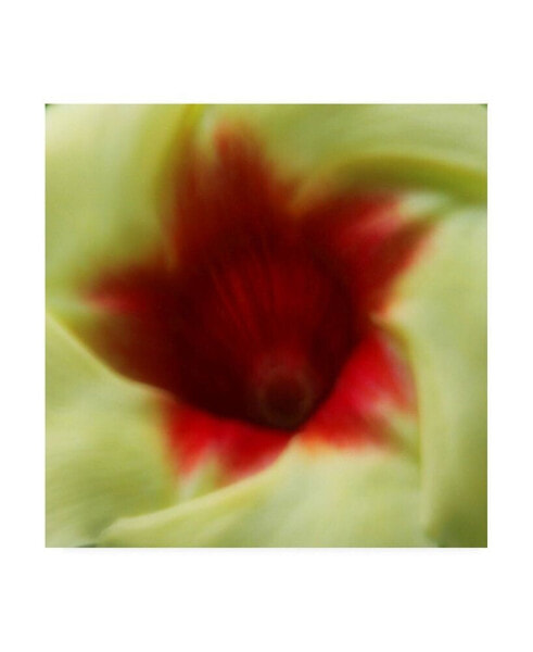 Dana Brett Munich Flower Edible Canvas Art - 15.5" x 21"