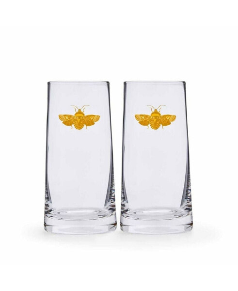 Creatures of Curiosity Highball Glasses Set, 2 Pieces
