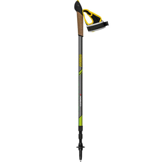 ASOLO Instructor Carbon 3 DLX Poles