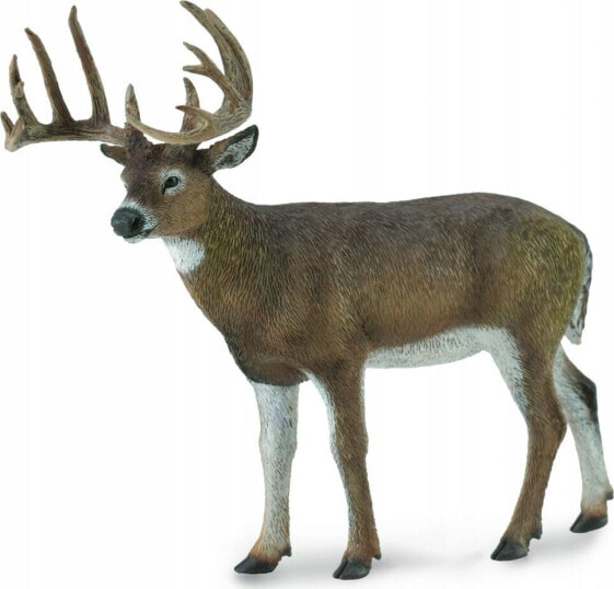 Figurka Collecta White-Tailed Deer