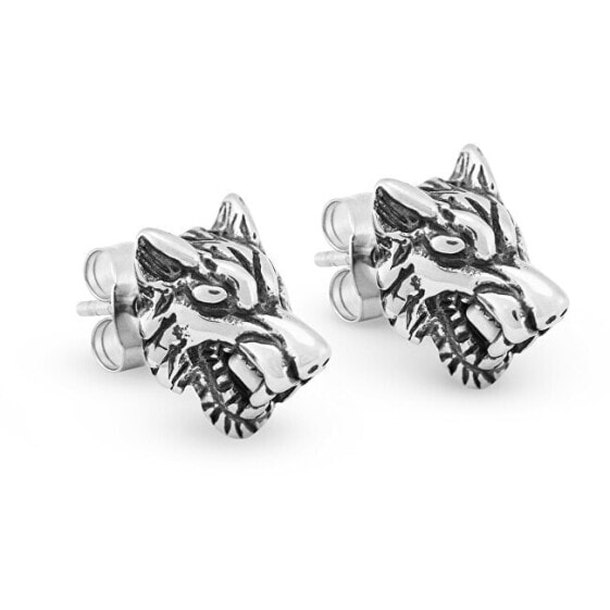 Design steel earrings Tiger KS-146