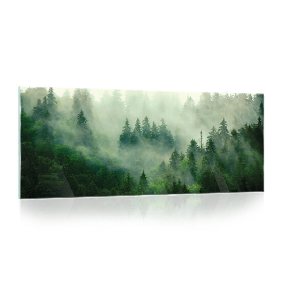 Glasbild Wald Nebel Wohnzimmer