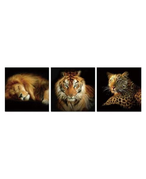 Decor Wild Safari 3 Piece Wrapped Canvas Wall Art Felines -27" x 82"
