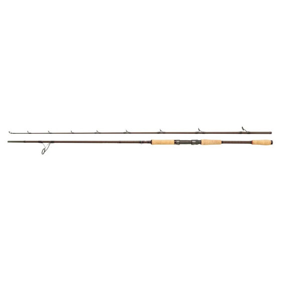 ABU GARCIA Beast Pro spinning rod