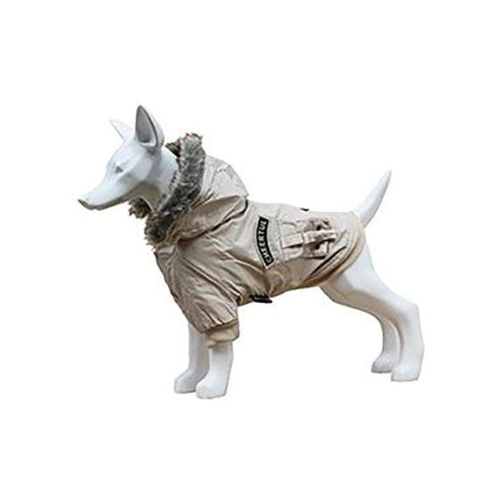 FREEDOG Cheerful Waterproof Dog Jacket