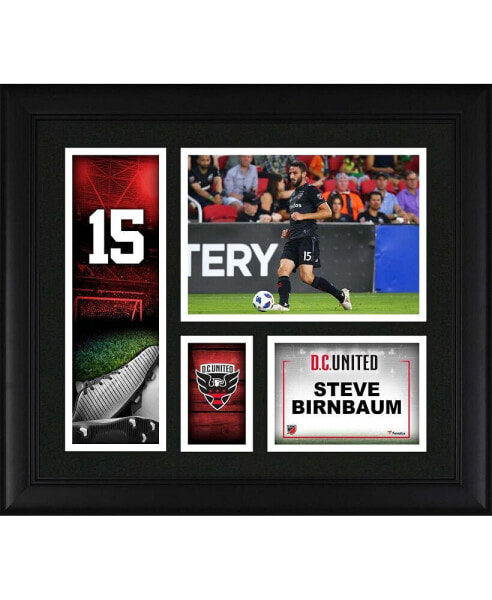 Steve Birnbaum D.C. United Framed 15'' x 17'' Player Collage