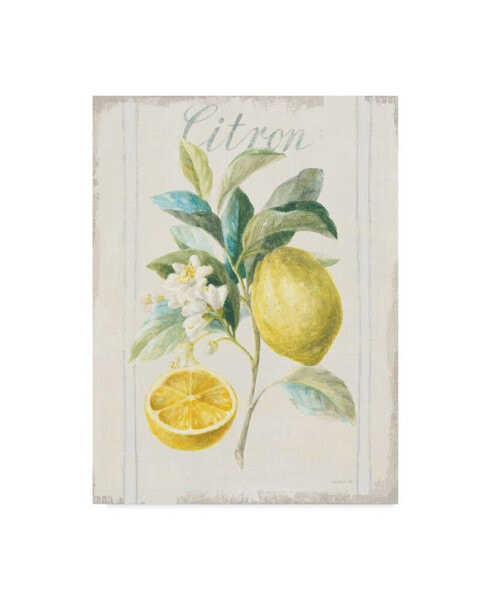 Danhui Nai Floursack Lemon IV V2 Canvas Art - 20" x 25"