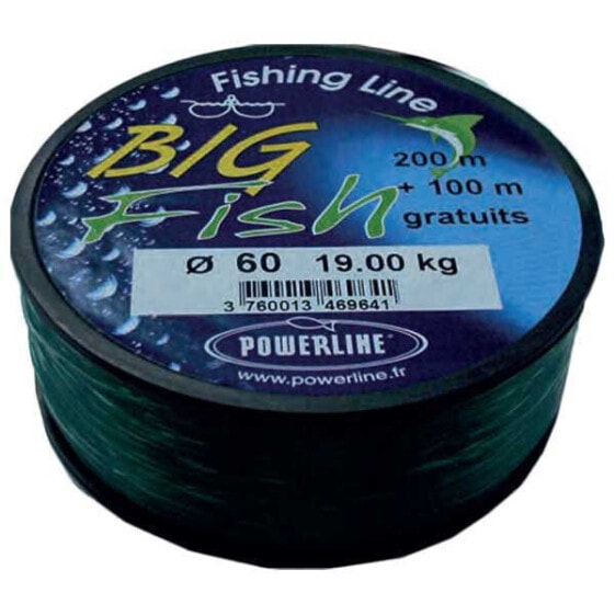 POWERLINE Big Fish 300 m Line