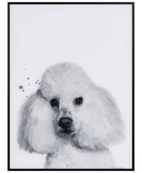 "Poodle" Pet Paintings on Printed Glass Encased with A Black Anodized Frame, 24" x 18" x 1"