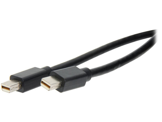 StarTech.com Model MDISPLPORT6 Mini DisplayPort Cable - M/M Male to Male