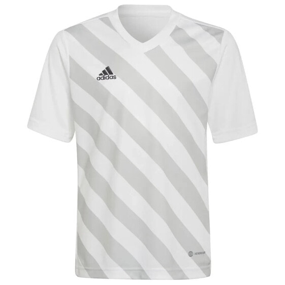 ADIDAS Entrada 22 GFX short sleeve T-shirt