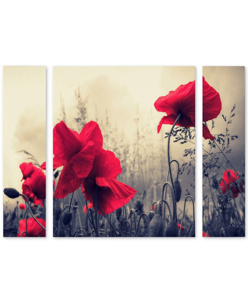 Philippe Sainte-Laudy 'Red For Love' Multi Panel Art Set Large - 41" x 30" x 2"