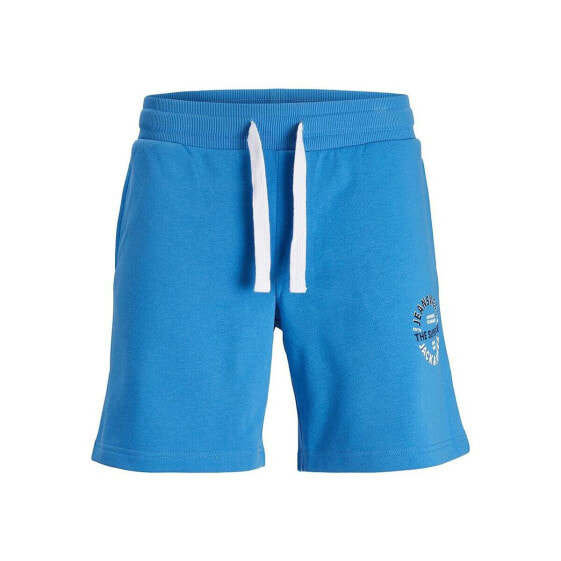 Спортивные шорты мужские Jack & Jones JPSTANDY SWEAT Синий