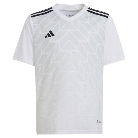 ADIDAS Team Icon 23 short sleeve T-shirt