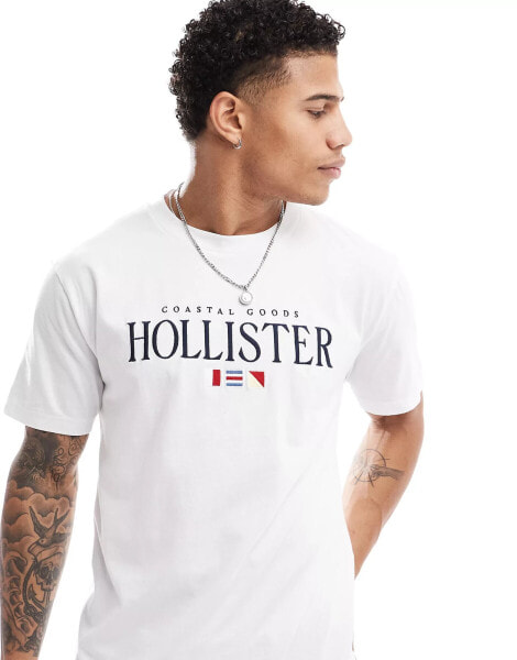 Hollister coastal tech embroidered logo relaxed fit t-shirt in white