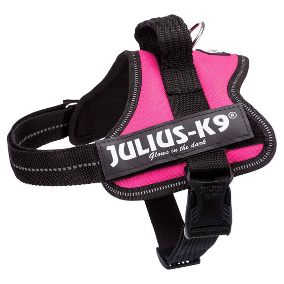 JULIUS K-9 Power Mini Harness