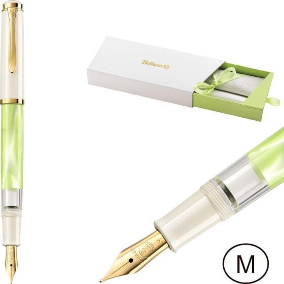 Pelikan Pióro wieczne Classic M200 tłoczek M etui PELIKAN