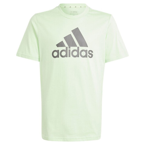 ADIDAS Big Logo short sleeve T-shirt