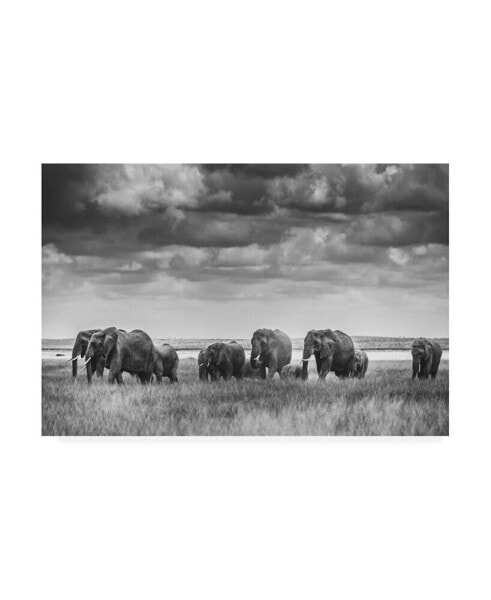 Vedran Vidak Elephant Family Kenya Canvas Art - 20" x 25"