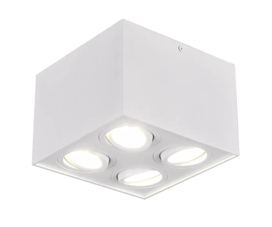 Потолочный светильник MeineWunschleuchte LED Aufbauspots 4-х фламменый