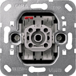 GIRA 015200 - Metallic - 250 V - 10 A
