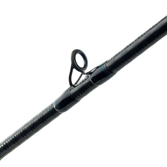 Shimano TERAMAR XX SW CASTING, Saltwater, Inshore, Casting, 7'0", Medium, 1 p...