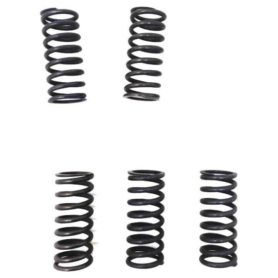 SURFLEX Honda TRX 400 Ex 1999-2004 Clutch Spring Kit