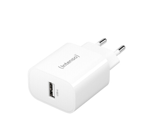 Intenso 1x USB-A Adapter weiß