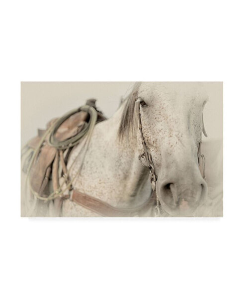 PH Burchett Cow Pony Canvas Art - 36.5" x 48"