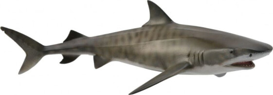 Фигурка Collecta Rekin Tiger 004-88661 (Shark Collection) (Коллекция Акул)