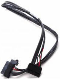 IBM 69Y1194 - SATA I - Male/Male - Black - Straight - Straight