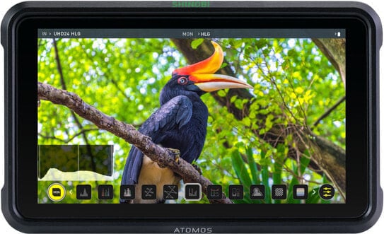 Atomos Shinobi - 13.2 cm (5.2") - 1920 x 1080 pixels - IPS - 427 ppi - 16:9 - 1280x720@50fps - 1920x1080@23.98fps - 1920x1080@24fps - 1920x1080@25fps - 1920x1080@59.94fps,...