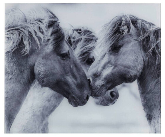 Glasrückwand Horses