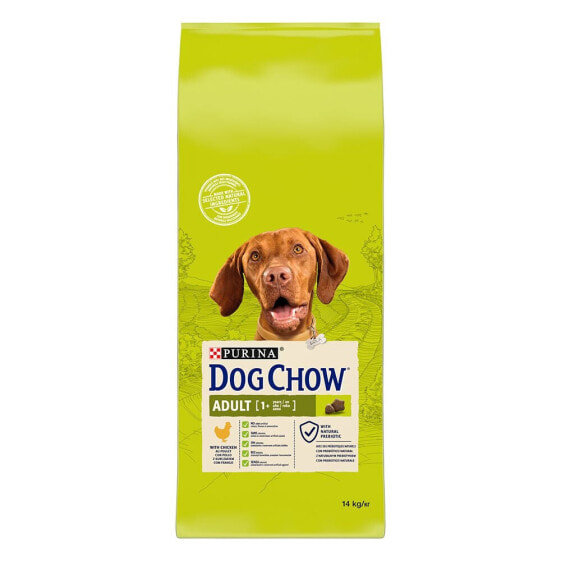 PURINA NESTLE Purina Dog Chow Adult Chicken 14kg Dog Food