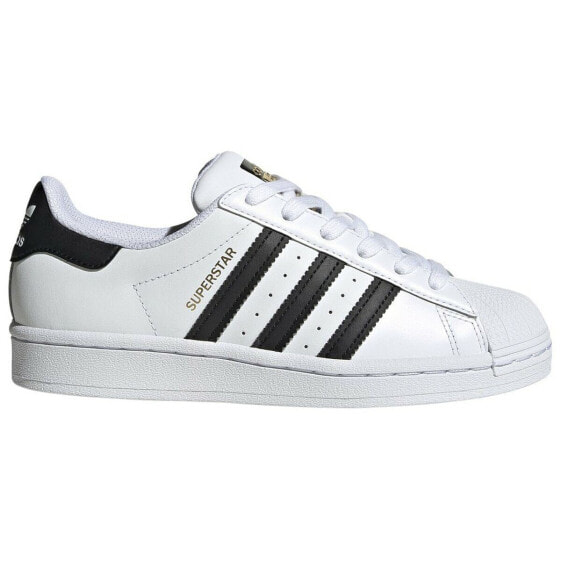 Кроссовки мужские Adidas Originals Superstars Белый