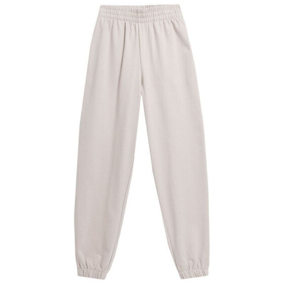 Trousers 4F W 4FSS23TTROF147 83S