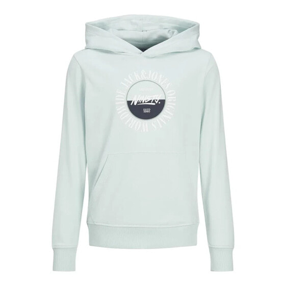 JACK & JONES Cobin hoodie