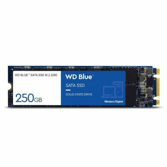 Жесткий диск Western Digital SA510 500 GB SSD 500GB