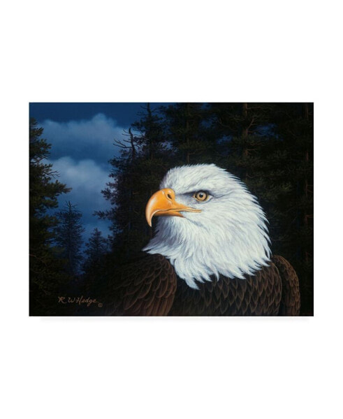 R W Hedge The Face of Freedom Canvas Art - 19.5" x 26"