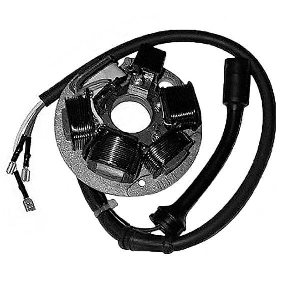 SGR 6 Poles Vespa PK Stator