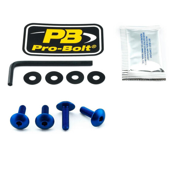 PRO BOLT SCR 4 SK110B Windshield Screws