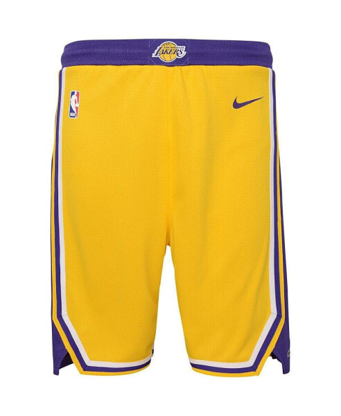Шорты Nike Lakers Icon Edition Mesh