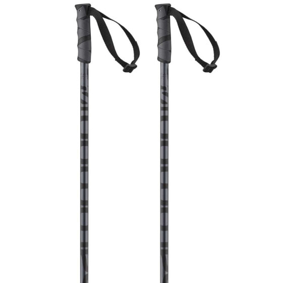 SALOMON Hacker Poles